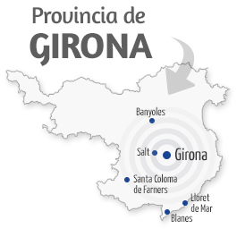 Servicio técnico y Reparación en Girona