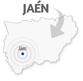 Servicio técnico y Reparación en Jaén